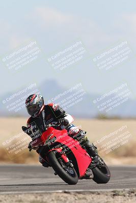 media/Oct-13-2025-Moto Forza (Mon) [[a66d839500]]/3-B Group/Session 4 Turn 4 Tree of Life/